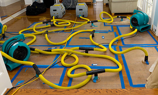 Professional Structural Drying And Dehumidification technician working in Lemont, IL